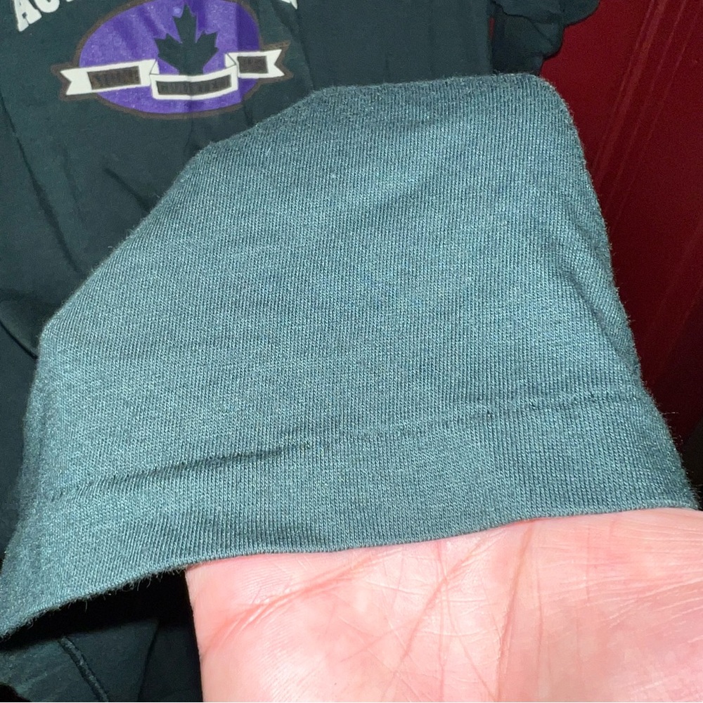 Niagara Falls Single stitch Tee! Amazing condition! - Picture 8 of 9